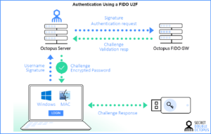 Fast Identity On Line (FIDO) Authentication process - Secret Double Octopus