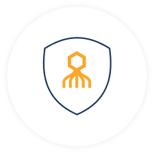 Firm-Wide Security