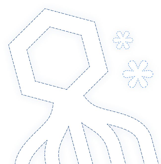 About SDO